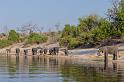 057 Botswana, Chobe NP